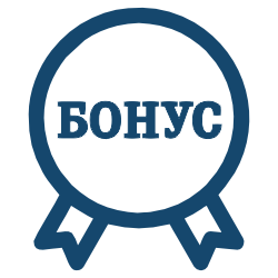 Бонусная механика