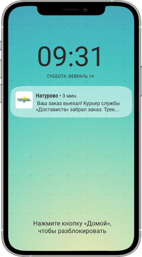 Push-уведомления в мобильном приложении